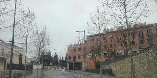 La primavera arriba al Baix Gaià amb una estampa hivernal