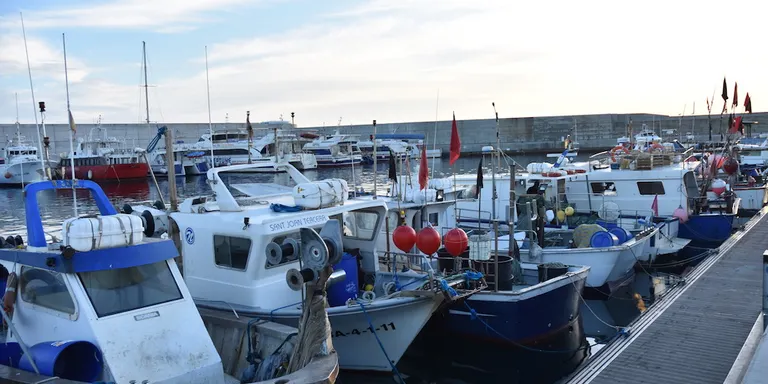La confraria de Blanes inicia la veda en la pesca d'arrossegament