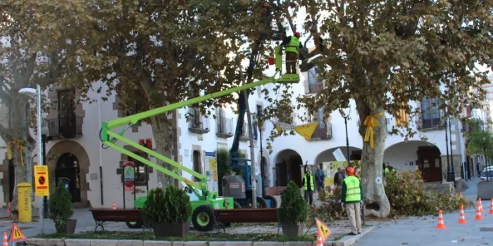 Comença la poda als arbres d'Arenys de Mar