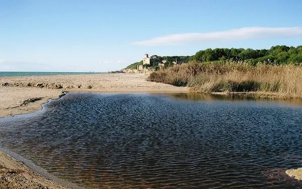 Nova visita guiada a la desembocadura del riu Gaià i a l’espai natural de Tamarit