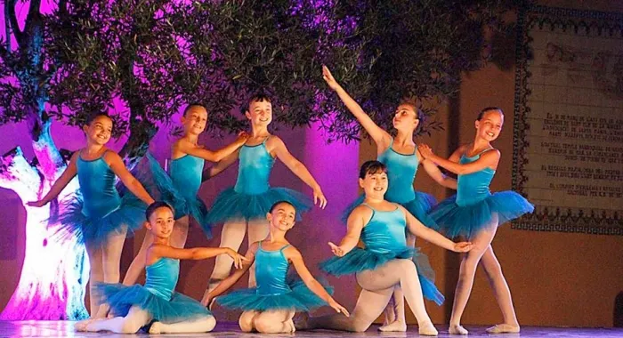 Mostra de dansa de l'any passat - fotos xavi salbanyÃ