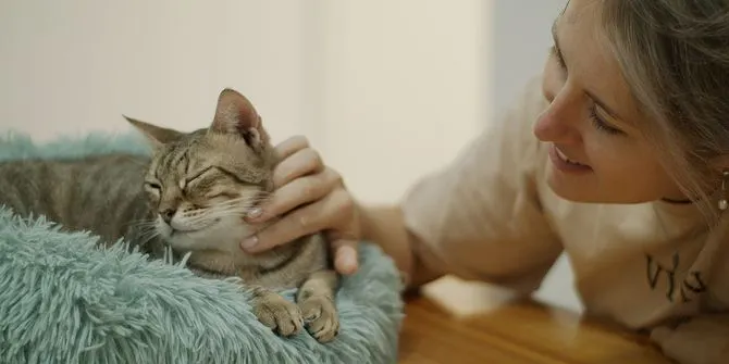 Joan Celdrán diregeix el documental 'Animals i companyia' que es veurà a TV3 aquest diumenge