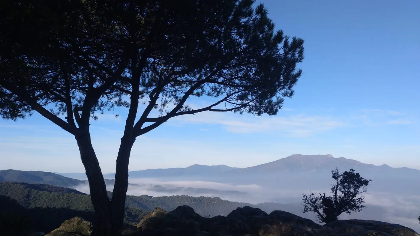 Cel variable i ambient fresc
