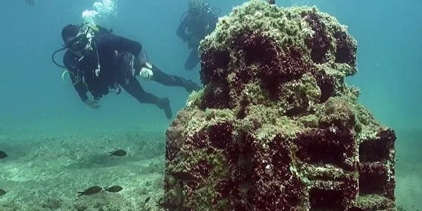 El Port de Torredembarra culmina l'abalisament de la primera muntanya marina del món feta de carbonat càlcic