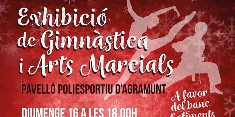 Exhibició gimnàstica i d'arts marcials solidària a favor del Banc d'Aliments