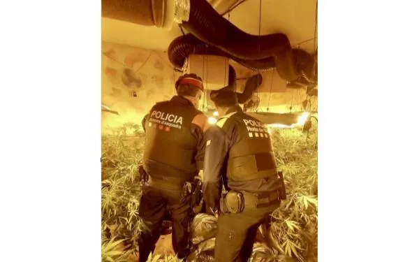 Foto: Mossos d'Esquadra