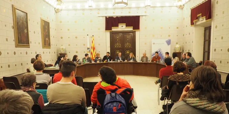 El ple de la Seu d'Urgell aprova crear una taula de treball per garantir l'accessibilitat