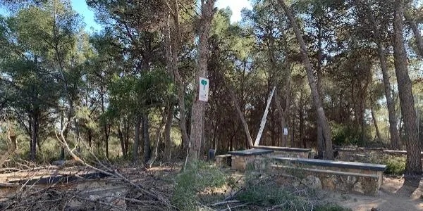 Treballs a la muntanya de Sant Antoni per prevenir incendis i caiguda de branques