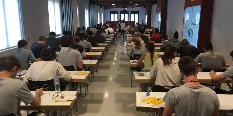 Mascareta obligatòria, rentat de mans amb gel hidroalcohòlic i prohibició d'accés amb símptomes, mesures durant les PAU