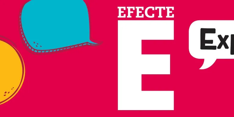 publicitat municipal EFECTE E 2019