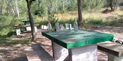 La Societat de Pescadors del Ribagorçana denuncia botellots il·legals al riu