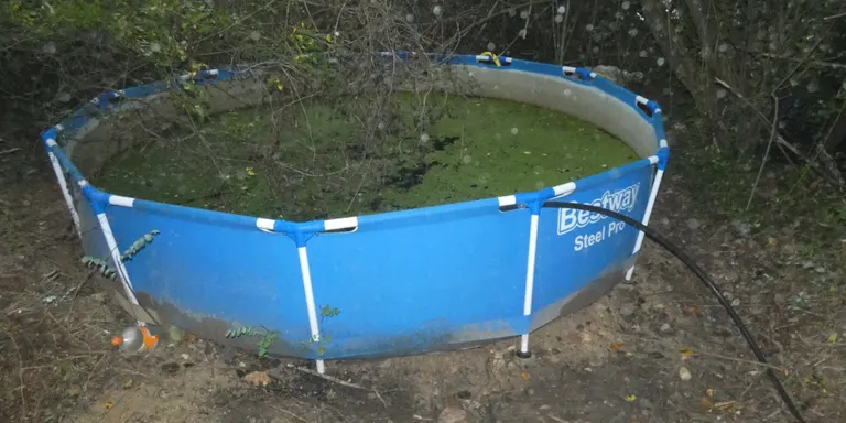 3 detinguts a Vidreres per cultivar 660 plantes de marihuana en un bosc