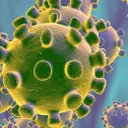 Programa Especial: El Morell combat el Coronavirus