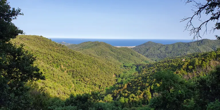 Conscienciar la ciutadania per evitar els focs forestals