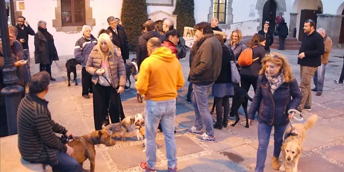 Prospera per unanimitat la modificació de l'ordenança de tinença d'animals