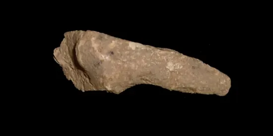 Descobreixen un penjoll únic d'urpa d'ós de més de 18.000 anys al jaciment de Montlleó, a la Cerdanya