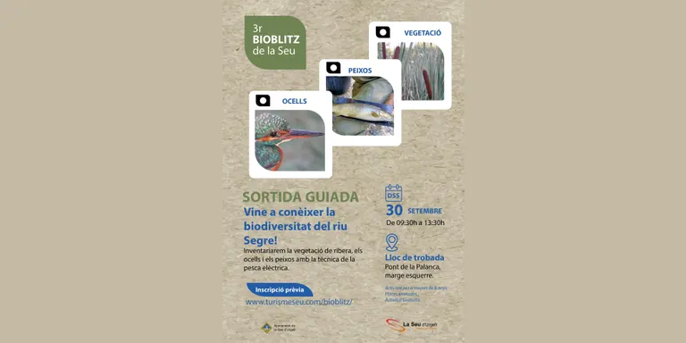 L'Ajuntament de la Seu d'Urgell organitza una tercera edició de BioBlitz per conèixer l'ecosistema del riu Segre