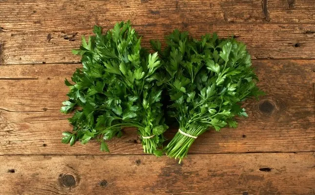 Xerrada sobre com fer servir les herbes aromàtiques a la cuina