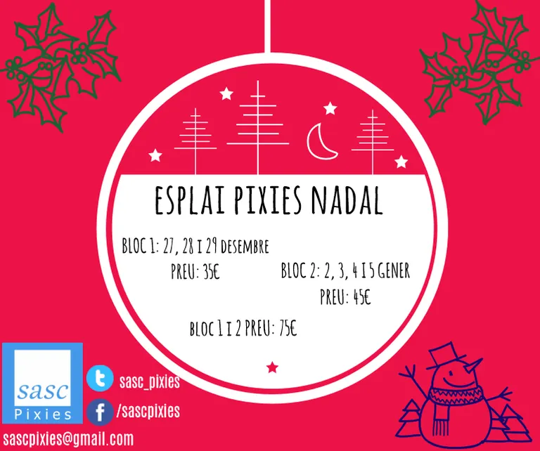 Torna l'Esplai de Nadal de Sasc-Pixies a la Seu