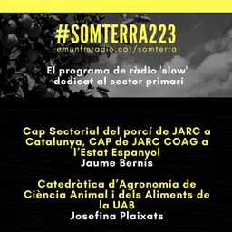 #19 - Som Terra amb Pili Garcia del 29/1/2020 - episode art