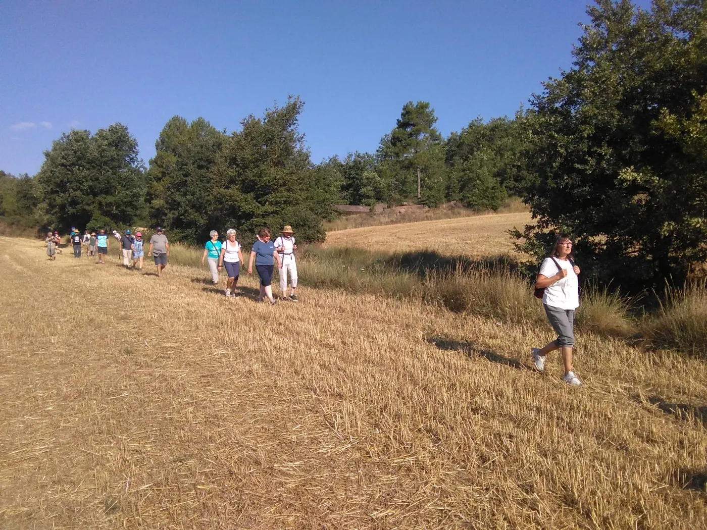Territori de Masies presenta la nova cooperativa rural amb la jornada "Fem un coop de Territori"
