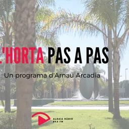 Pas a pas del 9/1/2024 - episode art