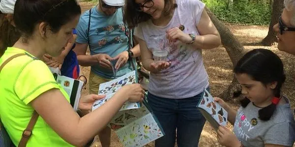La Sínia iniciarà la nova temporada de voluntariat el 3 de setembre en el marc del 10è Dia de les Papallones