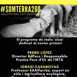 #54 - Som Terra amb Pili Garcia del 14/10/2020 - episode art