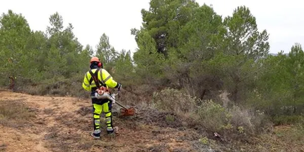 La Diputació de Tarragona i els Consells Comarcals impulsen nous plans d’ocupació per donar feina a 50 persones durant un any