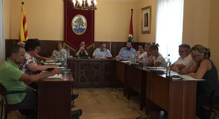 Moment del ple d'ahir