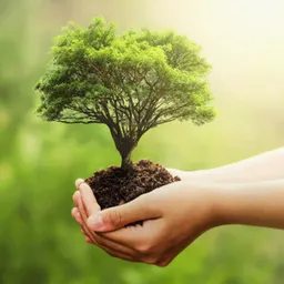 #3138 - Entrevista a Maria Lledó, tècnica de Medi Ambient- sequera i campanya Ecovidrio - episode art