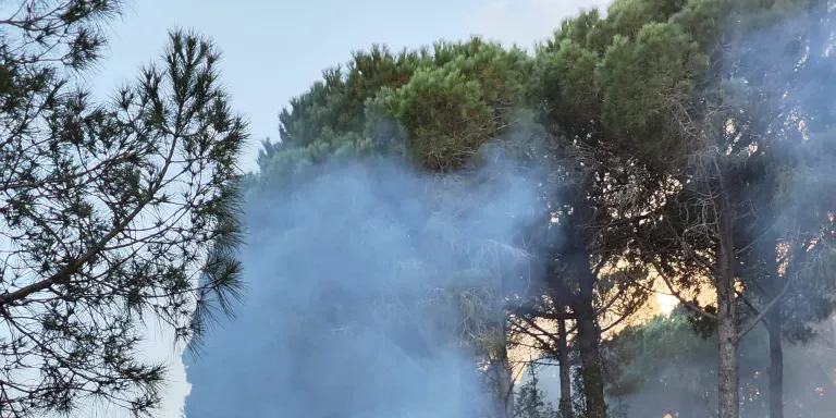 Un incendi forestal entre Calella i Sant Pol posa en alerta els serveis de seguretat a l'Alt Maresme