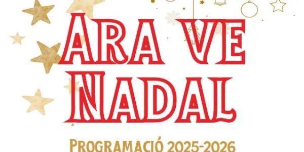Altafulla viu el Nadal amb diferents propostes perquè en gaudeixi tota la població