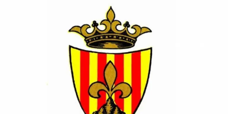 El ple de l'Ajuntament celebrarà avui una sessió extraordinària per debatre les ordenandes fiscals pel 2027