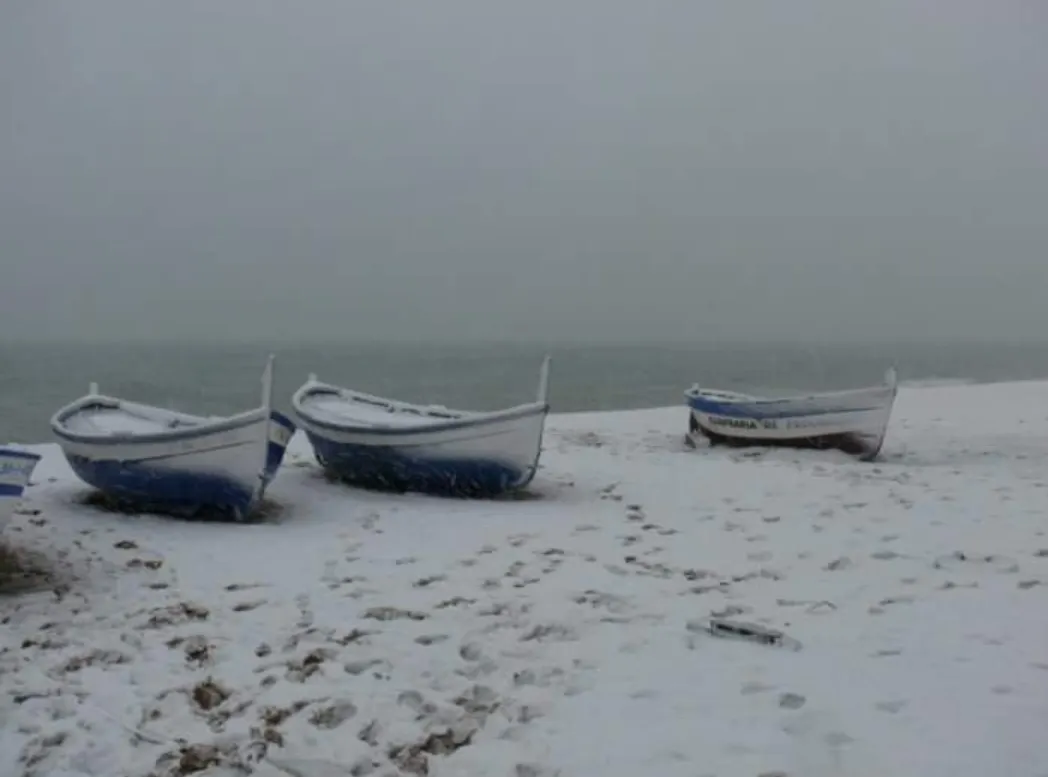Avui fa 13 anys de la gran nevada que afectava també a Pineda