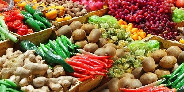 Joan Josep Sirvent: “Cal adoptar estils de vida i hàbits saludables i incidir en una dieta sana per prevenir el càncer”