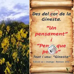 Des del cor de la “Ginesta”, avui ens estimula al art del bon pensar amb les seves poesies: Des del - episode art