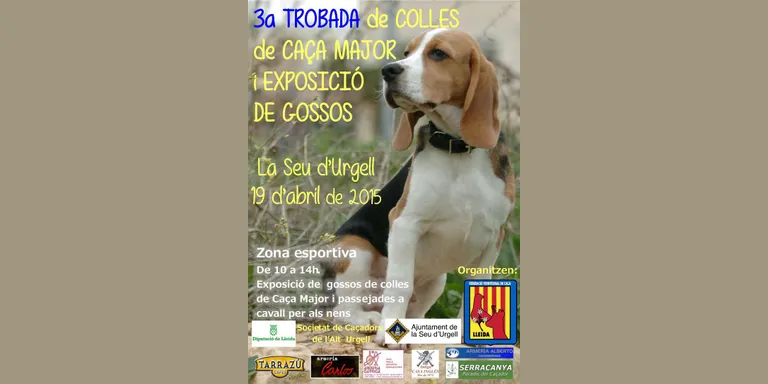 La Seu acull la 3a Trobada de Colles de Caça Major i una exposició de gossos caçadors