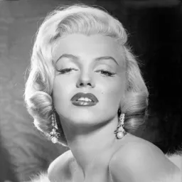 Avui homenatge a Marilyn Monroe - episode art