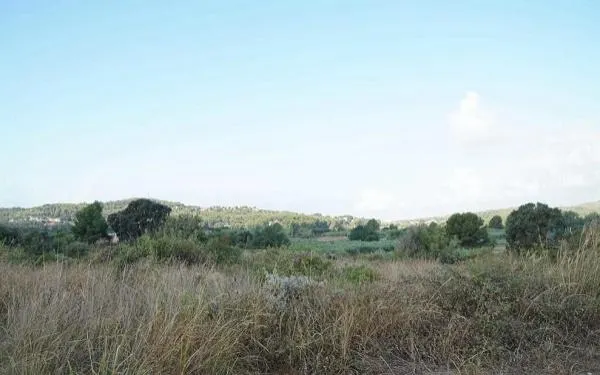 Nova passa endavant per al projecte urbanístic de Safranars