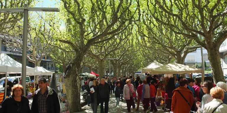 Novetats locals i nacionals comparteixen protagonisme per Sant Jordi a la Seu