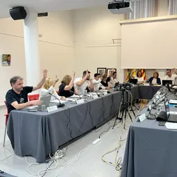 PLENS MUNICIPALS del 30/10/2024 - episode art