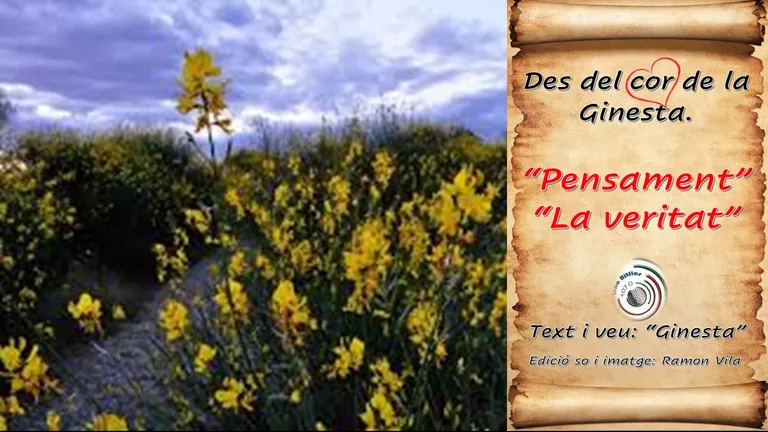 Des del cor de la “Ginesta”, una mica de poesia: “Pensaments”