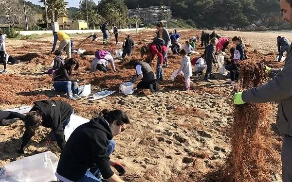 Foto: Associació Mediambiental La Sínia