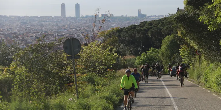 Batlle demana a la ciutadania "limitar al màxim" la presència a Collserola