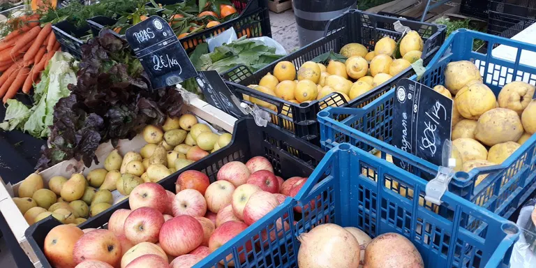 L’enginyer i escriptor Laureà Miró ens ensenya el camí per abraçar el veganisme
