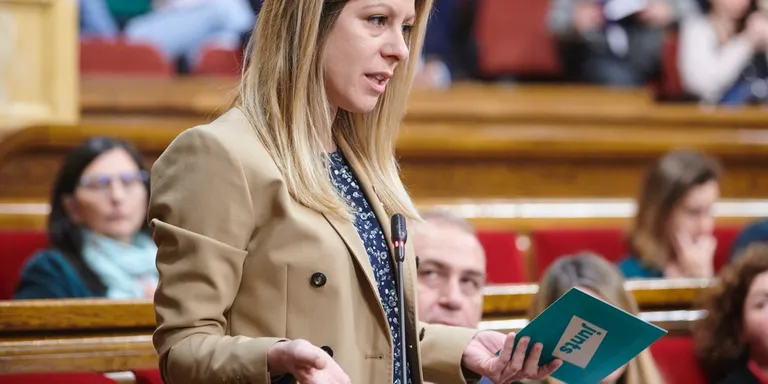 Junts reclama el desplegament de les delegacions de departaments de la Generalitat a l'Alt Pirineu i Aran