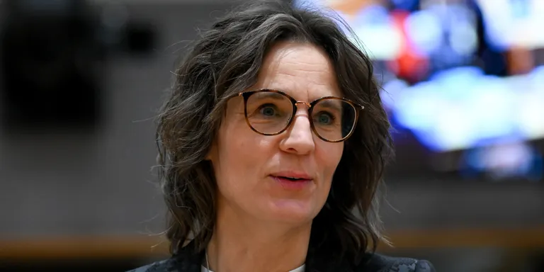 Suècia considera que l'oficialitat del català a la UE és massa costosa: "Hem vist les estimacions i són molts diners"