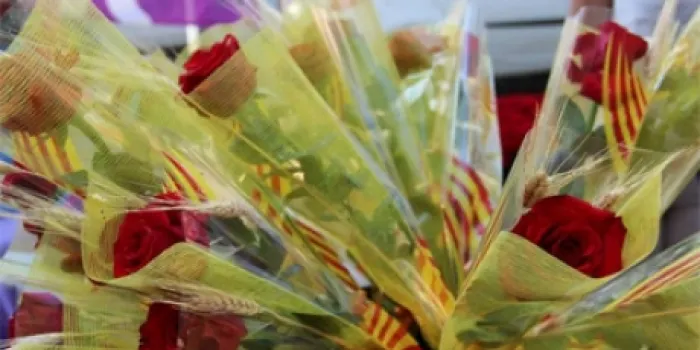 Les floristeries d'Arenys es preparen per Sant Jordi