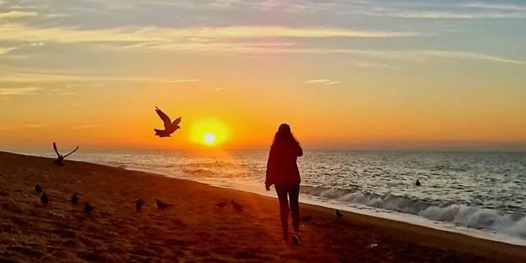 El vent de garbí altera avui l'estat de la mar
